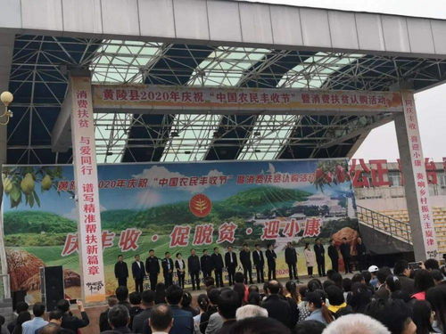 促增收，助脫貧——雙龍鎮(zhèn)參加全縣消費(fèi)扶貧產(chǎn)品展銷會(huì)，開(kāi)展經(jīng)營(yíng)助力打贏脫貧攻堅(jiān)戰(zhàn)